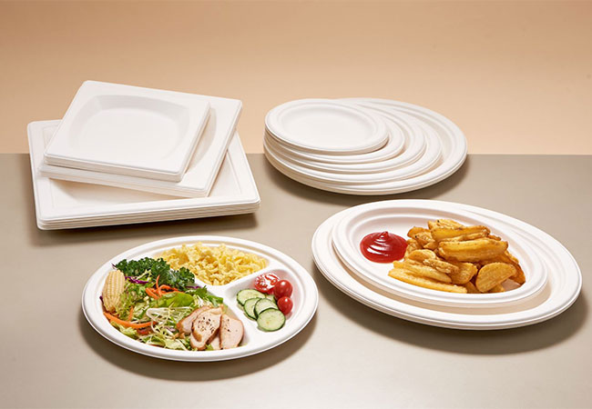 Containere ecologice pentru a merge: viitorul serviciului alimentar durabil