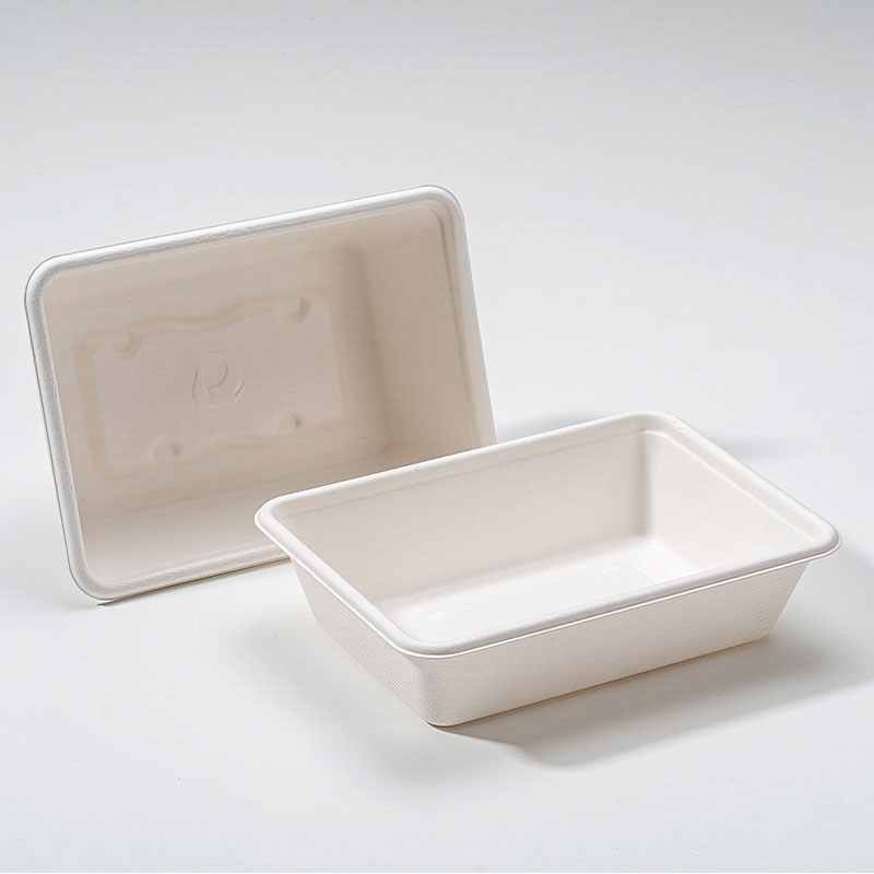 De ce Bagasse Square Box este viitorul ambalajelor durabile pentru alimente?