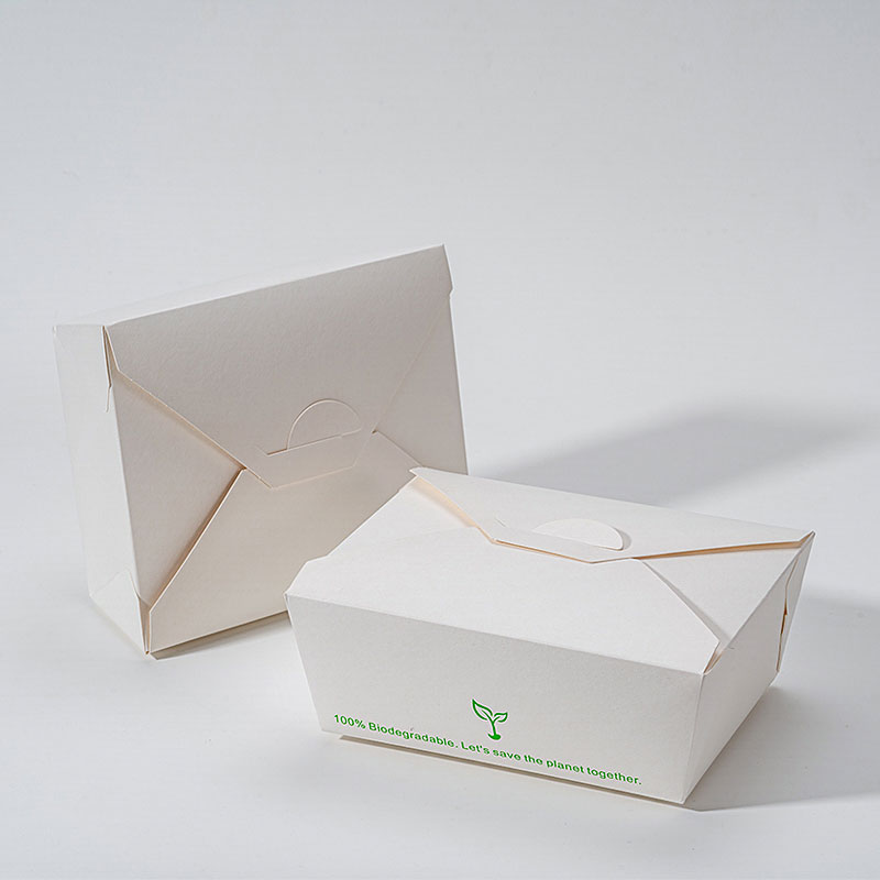 PLA Lunch Paper Box